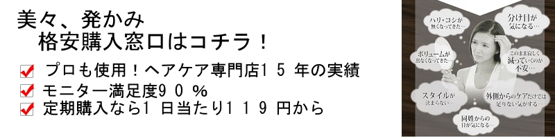 XAݏTCg